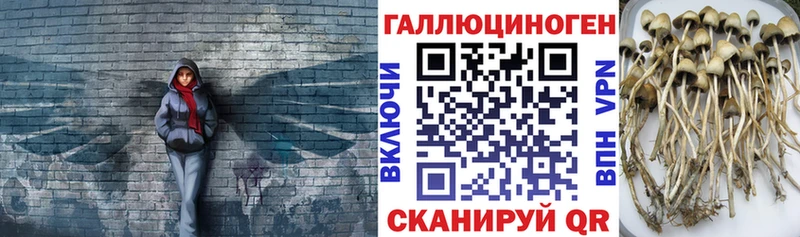 Псилоцибиновые грибы MAGIC MUSHROOMS  Снежногорск 